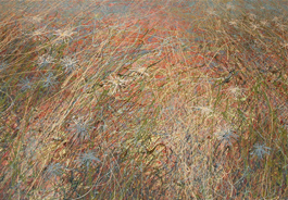 Marsh Jubilee
